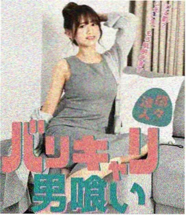 北方来客 高分剧集封面
